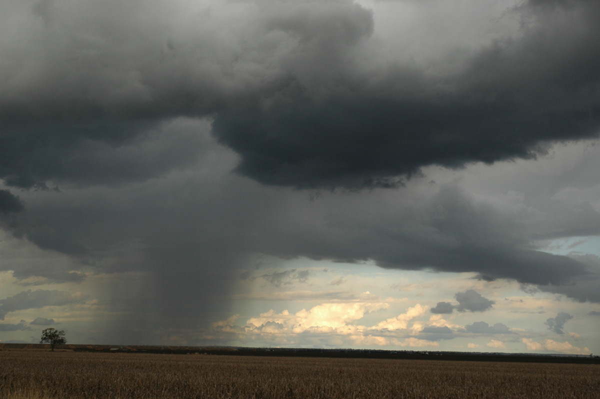 raincascade precipitation_cascade : near Dalby, QLD   4 November 2006