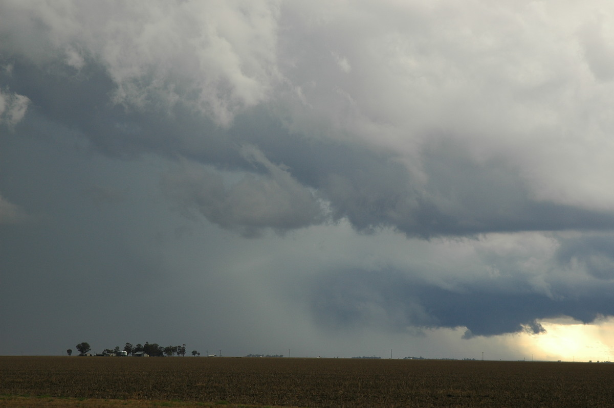 raincascade precipitation_cascade : SE of Dalby, QLD   4 November 2006