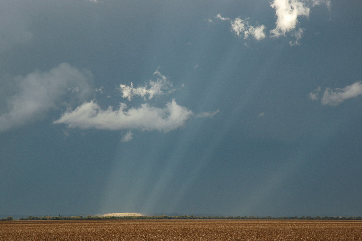 favourites michael_bath : SE of Dalby, QLD   4 November 2006