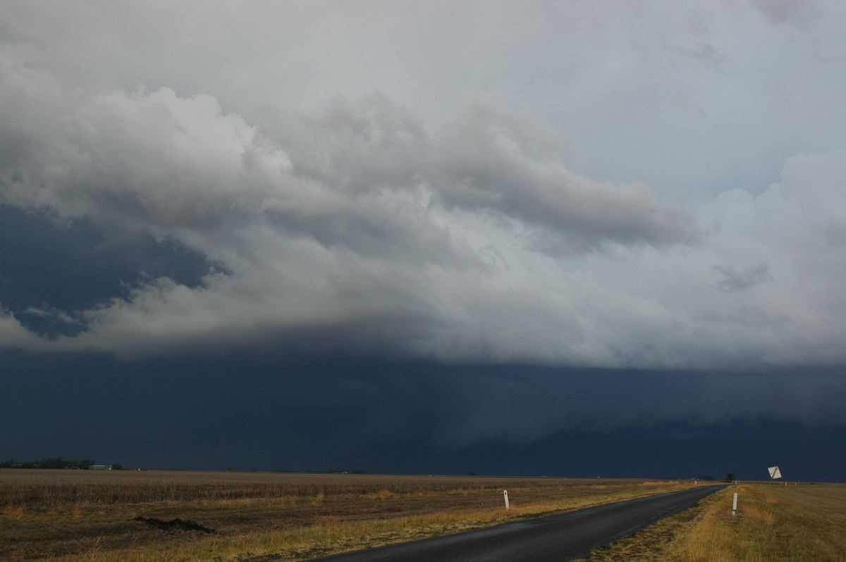 cumulonimbus thunderstorm_base : SE of Dalby, QLD   4 November 2006