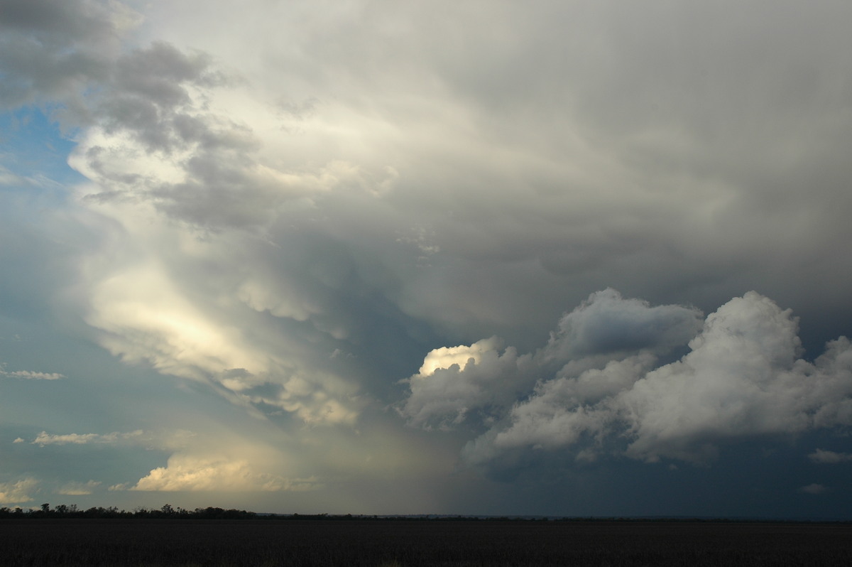 thunderstorm cumulonimbus_incus : SE of Dalby, QLD   4 November 2006