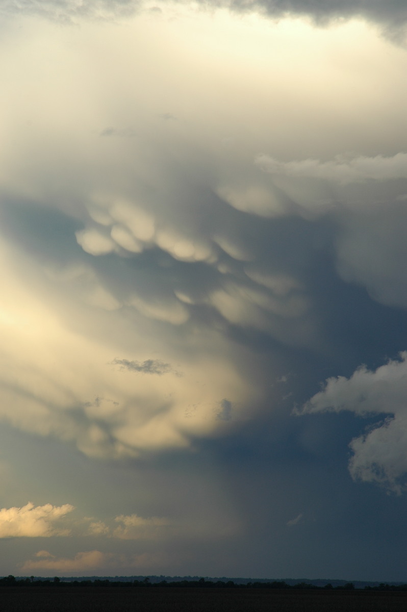 anvil thunderstorm_anvils : SE of Dalby, QLD   4 November 2006