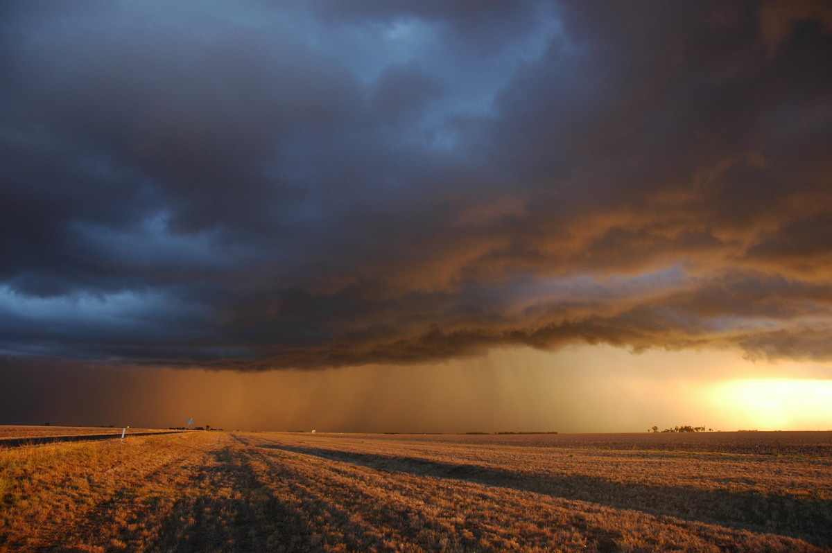 cumulonimbus thunderstorm_base : SE of Dalby, QLD   4 November 2006