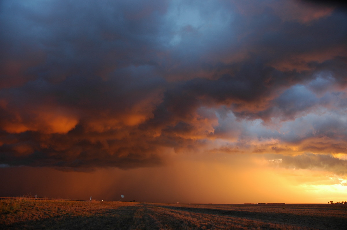 sunset sunset_pictures : SE of Dalby, QLD   4 November 2006