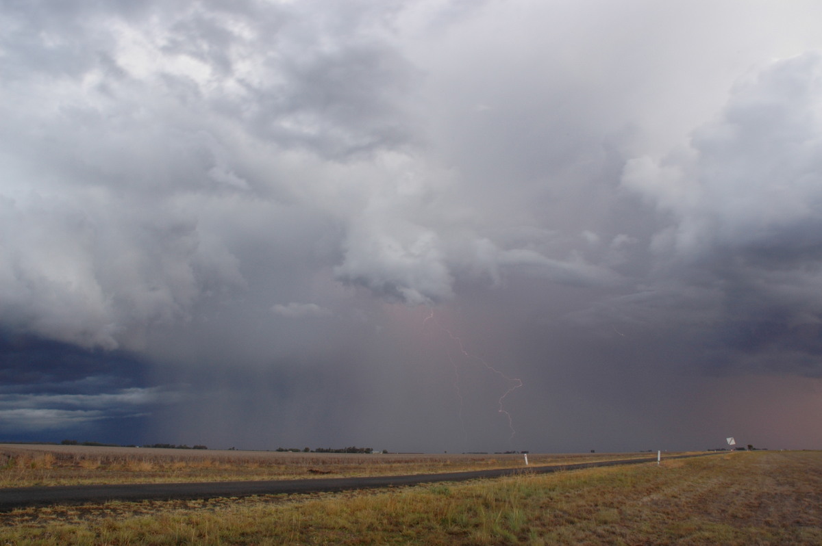 raincascade precipitation_cascade : SE of Dalby, QLD   4 November 2006