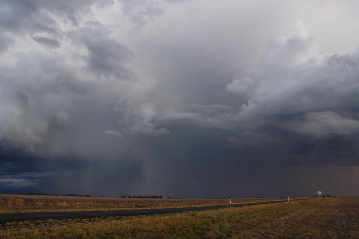 raincascade precipitation_cascade : SE of Dalby, QLD   4 November 2006