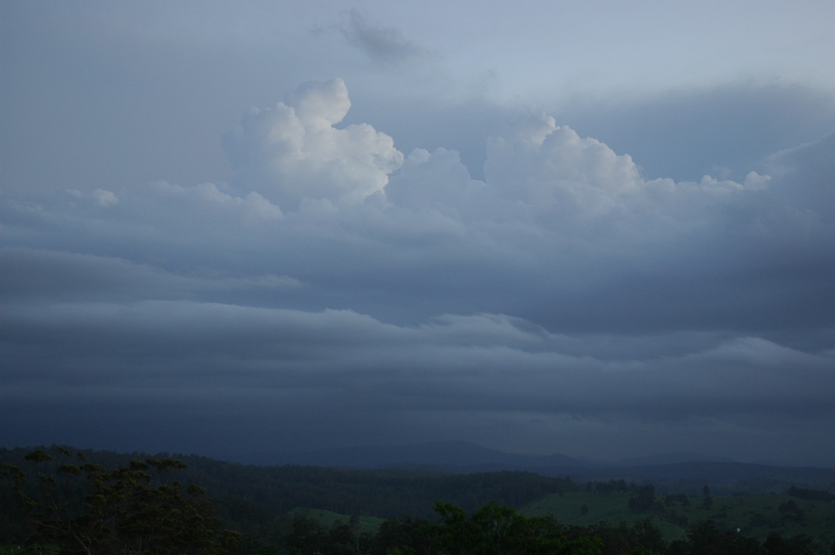 cumulus congestus : Mallanganee NSW   7 November 2006