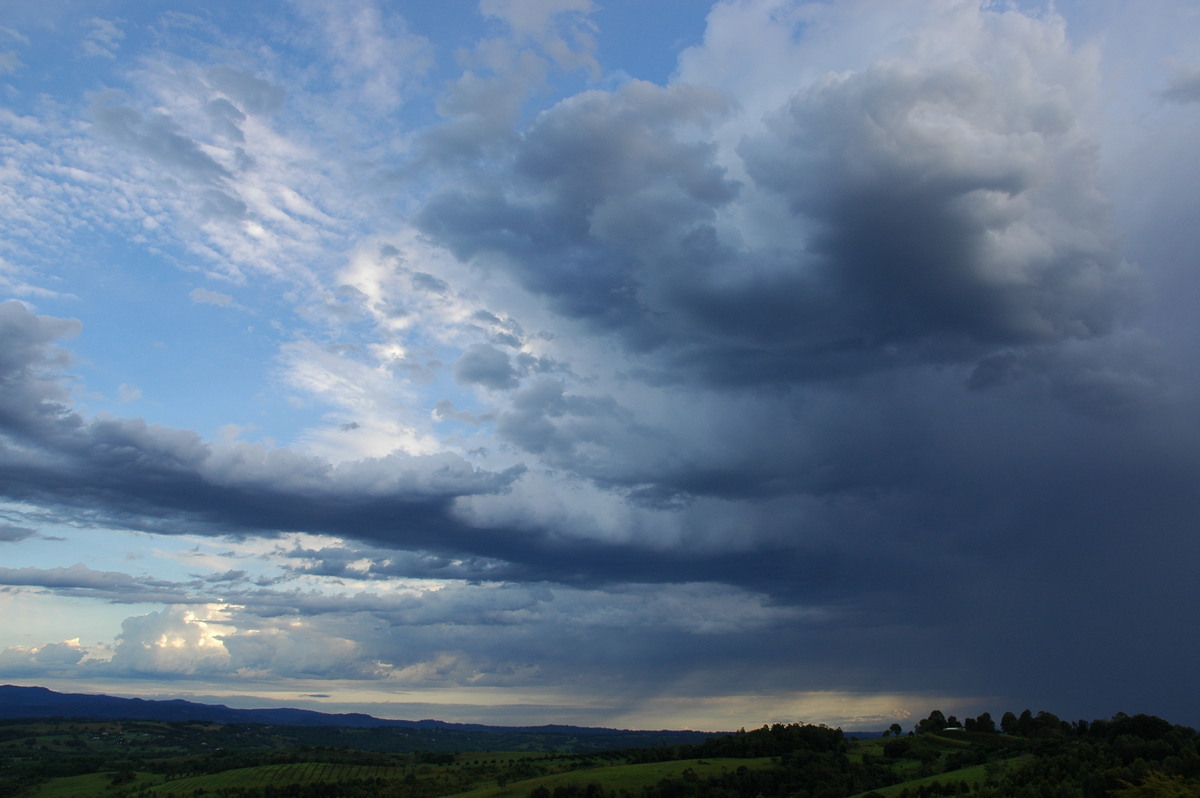 thunderstorm cumulonimbus_calvus : McLeans Ridges, NSW   8 November 2006