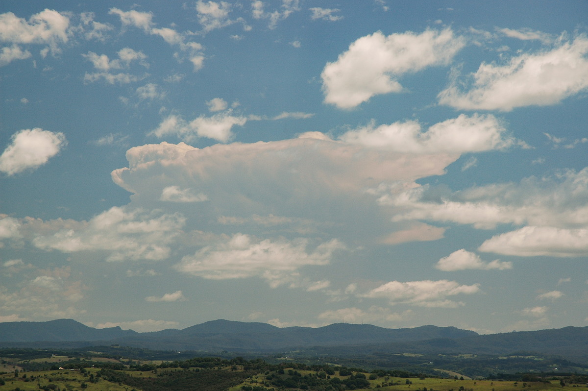 thunderstorm cumulonimbus_incus : McLeans Ridges, NSW   8 November 2006