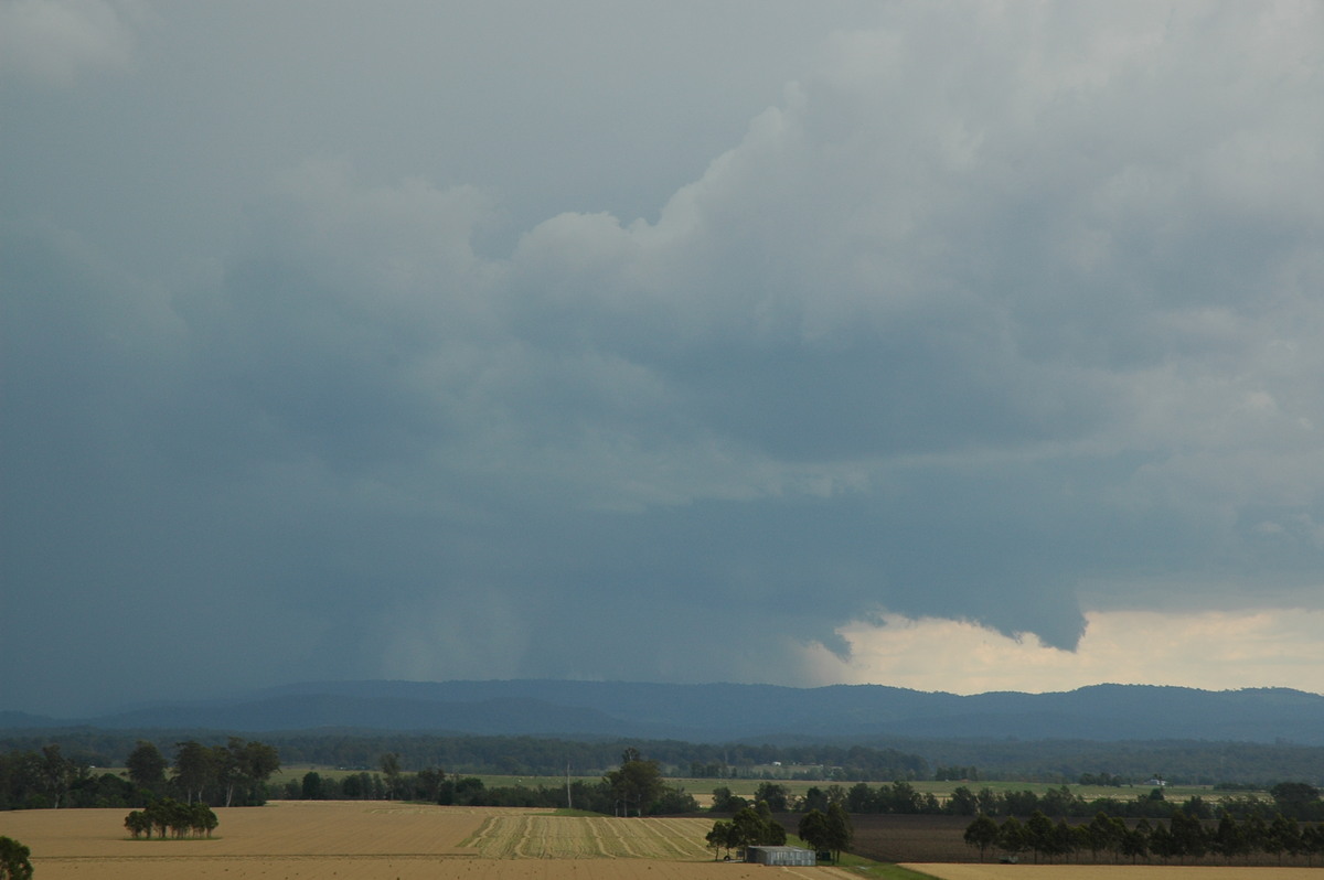 wallcloud thunderstorm_wall_cloud : N of Casino, NSW   8 November 2006