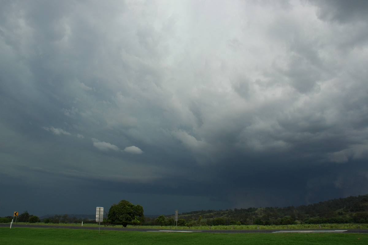 cumulonimbus thunderstorm_base : Wiangaree, NSW   8 November 2006