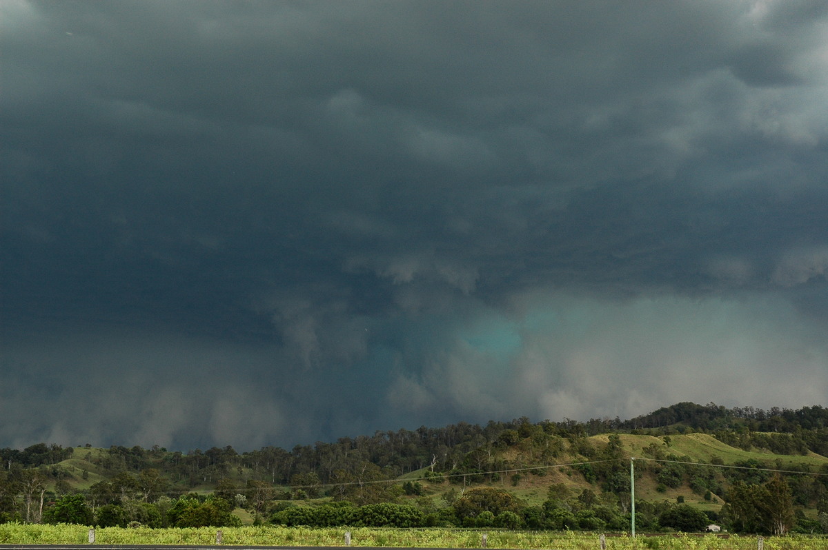 favourites michael_bath : Wiangaree, NSW   8 November 2006