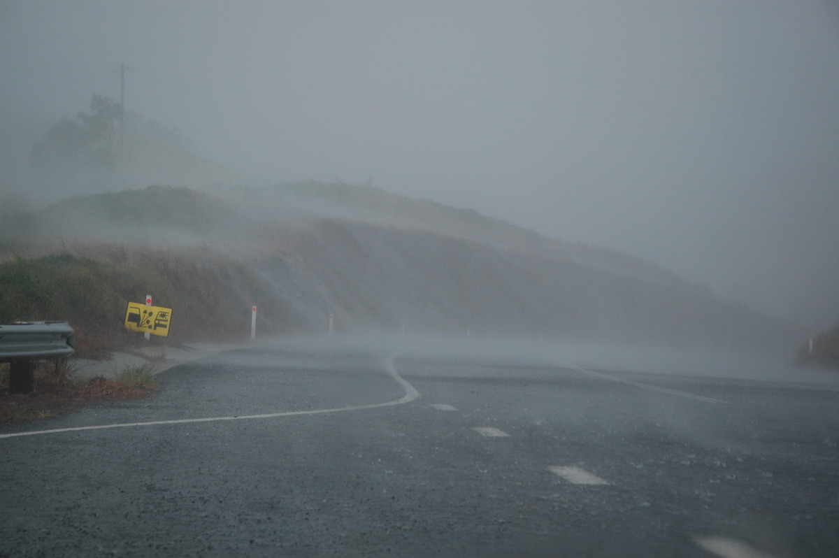 strongwind strong_wind : N of Wiangaree, NSW   8 November 2006