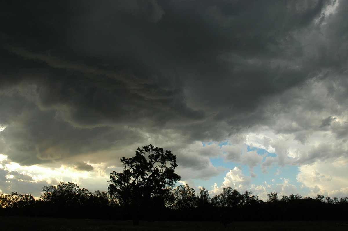 cumulonimbus thunderstorm_base : W of Tenterfield, NSW   8 November 2006