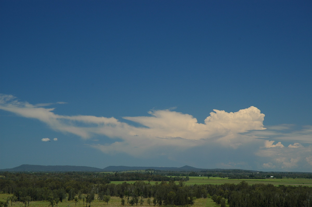 thunderstorm cumulonimbus_incus : Parrots Nest, NSW   11 November 2006