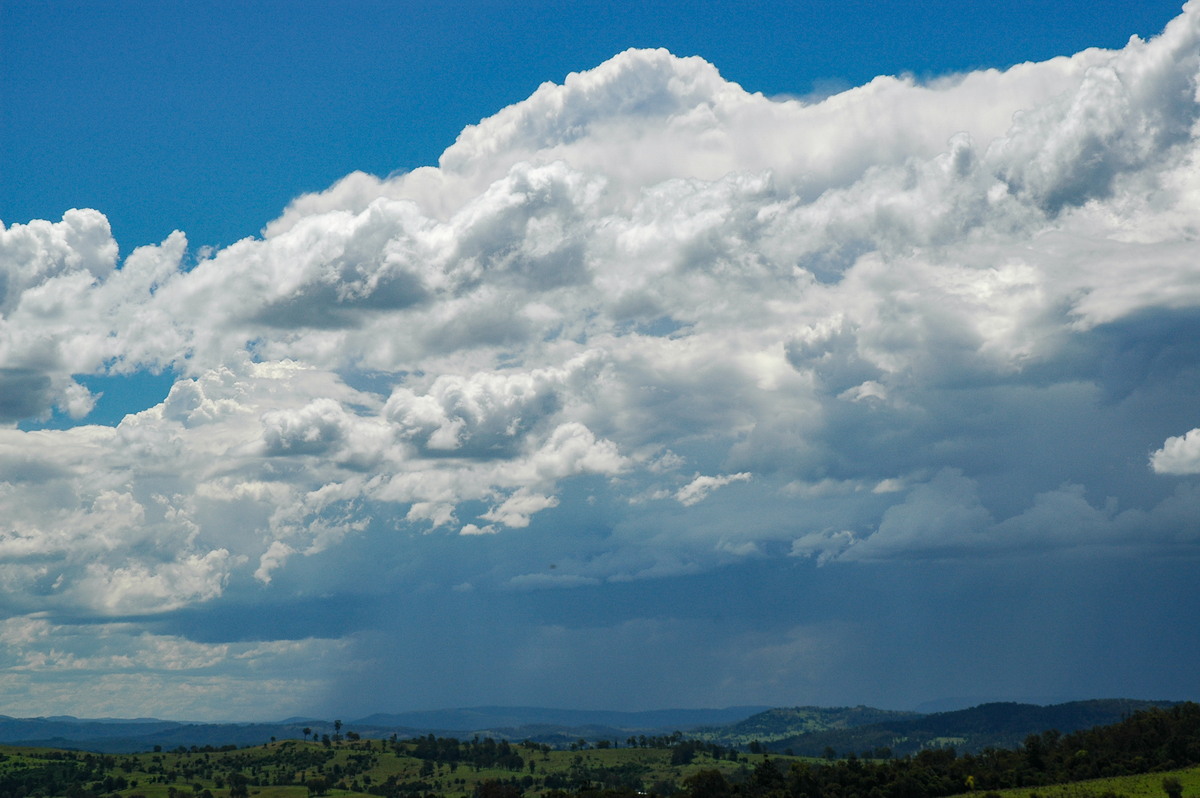 thunderstorm cumulonimbus_calvus : Mallanganee NSW   11 November 2006