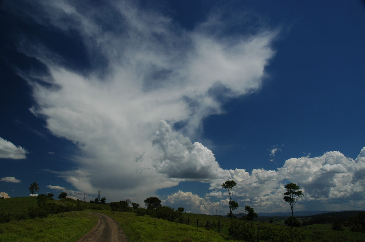 cumulus mediocris : Mallanganee NSW   11 November 2006