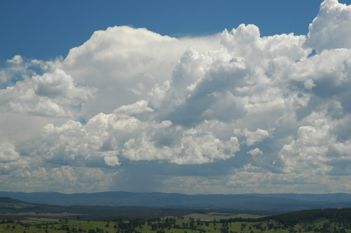 thunderstorm cumulonimbus_calvus : Mallanganee NSW   11 November 2006