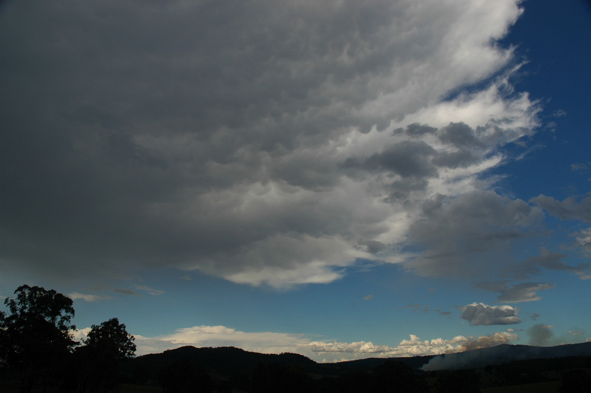 anvil thunderstorm_anvils : Tabulum, NSW   11 November 2006