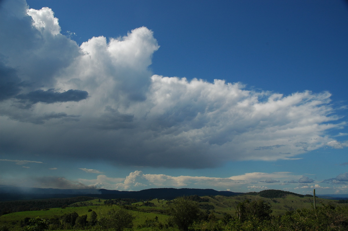 mammatus mammatus_cloud : Mallanganee NSW   11 November 2006