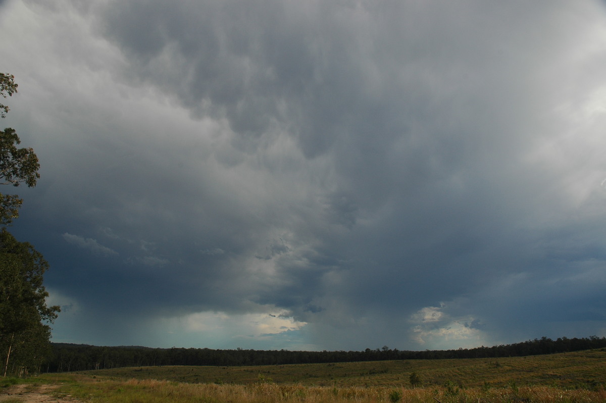 raincascade precipitation_cascade : Whiporie, NSW   11 November 2006