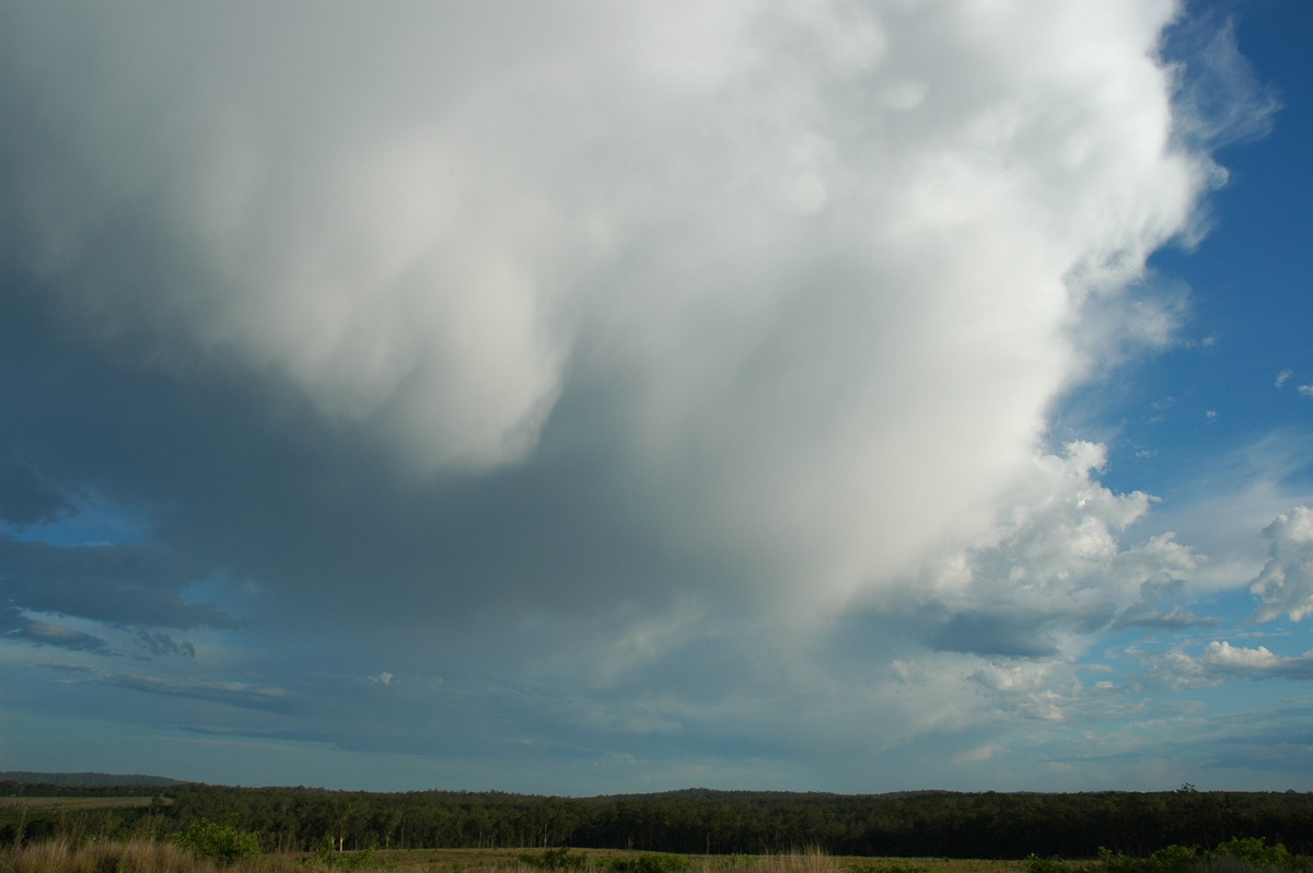 mammatus mammatus_cloud : Whiporie, NSW   11 November 2006