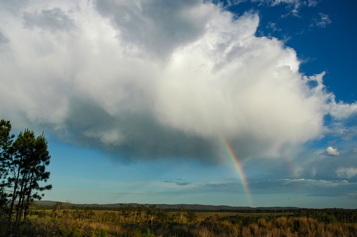 virga virga_pictures : Whiporie, NSW   11 November 2006