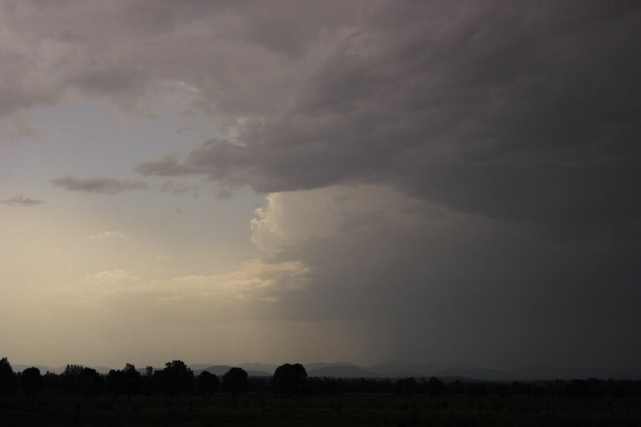 cumulonimbus thunderstorm_base : Coopernook, NSW   13 November 2006