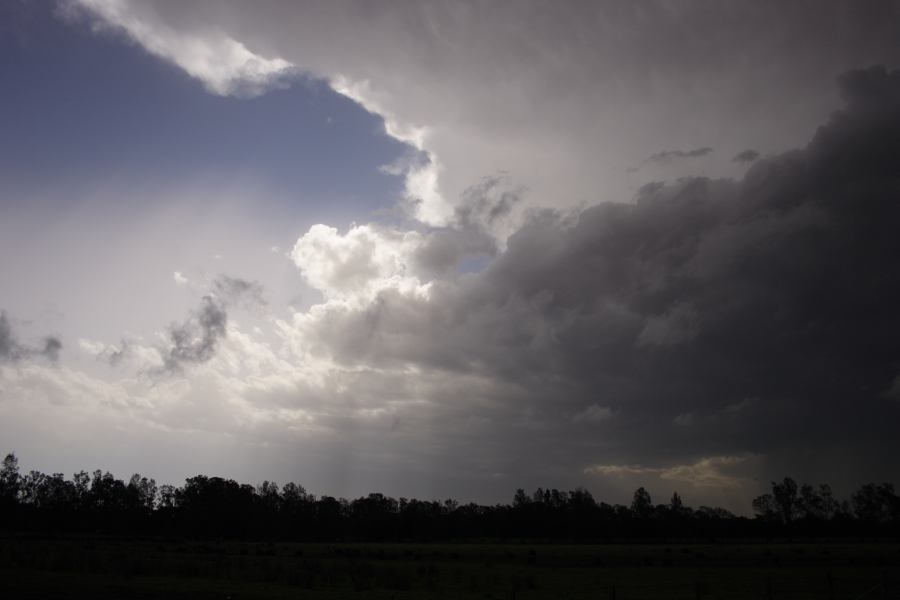 cumulonimbus thunderstorm_base : Coopernook, NSW   13 November 2006