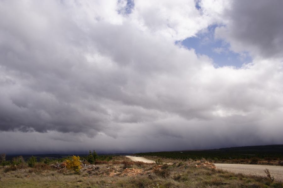 stratocumulus stratocumulus_cloud : Shooters Hill, NSW   15 November 2006