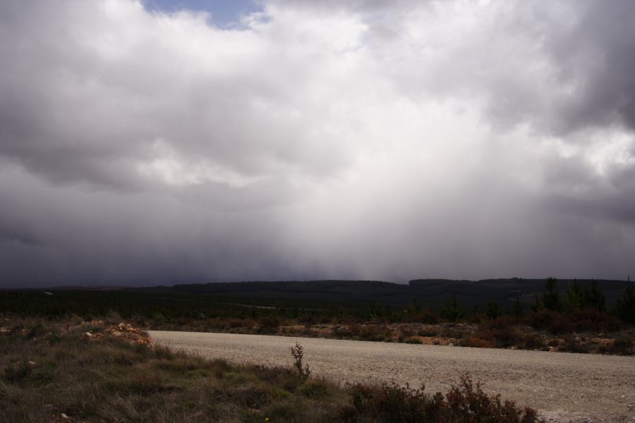 raincascade precipitation_cascade : Shooters Hill, NSW   15 November 2006