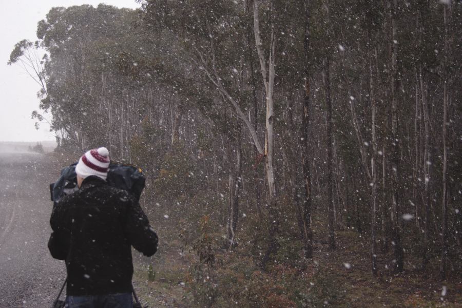 precipitation precipitation_rain : Shooters Hill, NSW   15 November 2006