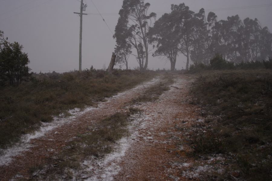 precipitation precipitation_rain : Shooters Hill, NSW   15 November 2006