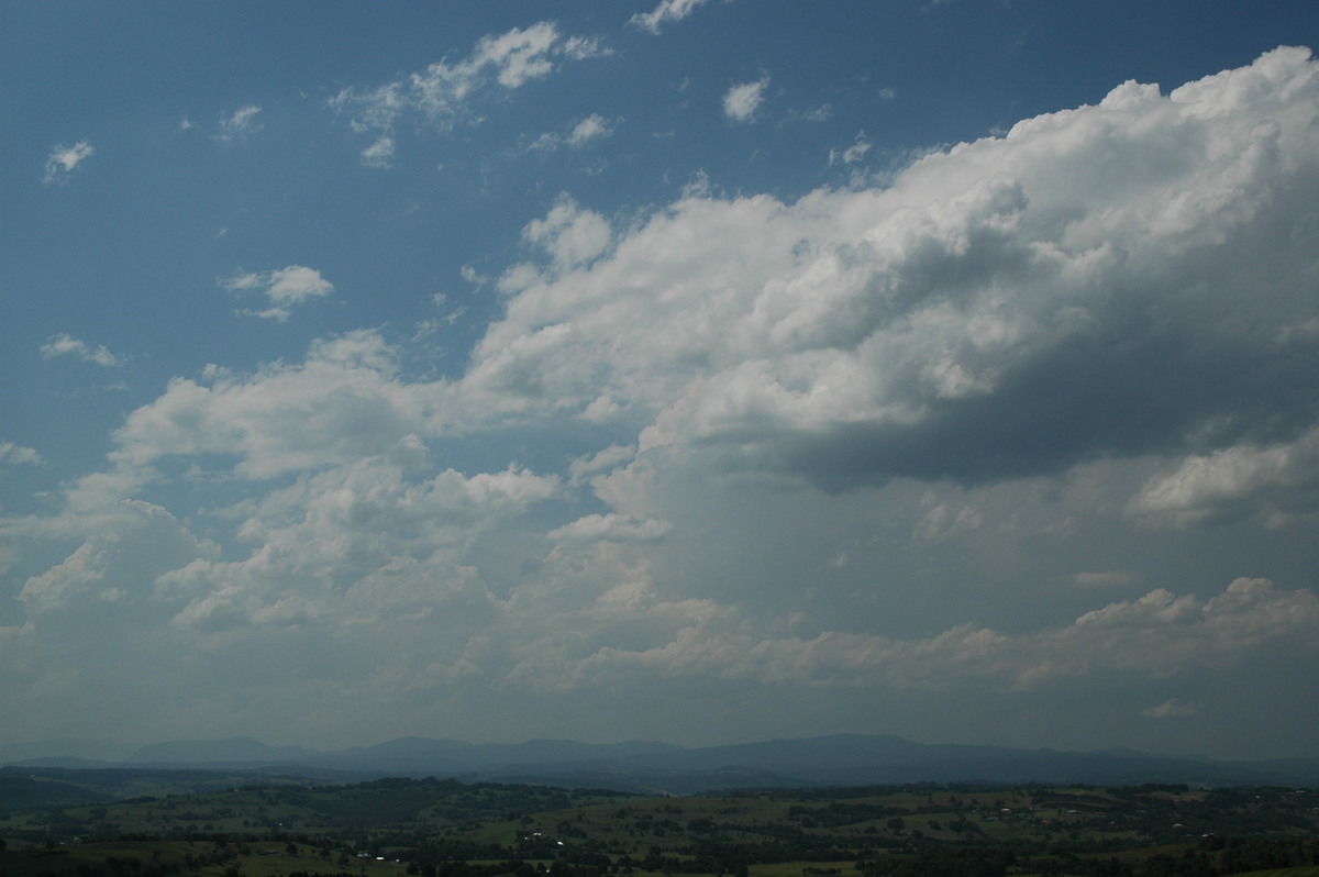 thunderstorm cumulonimbus_calvus : McLeans Ridges, NSW   15 November 2006