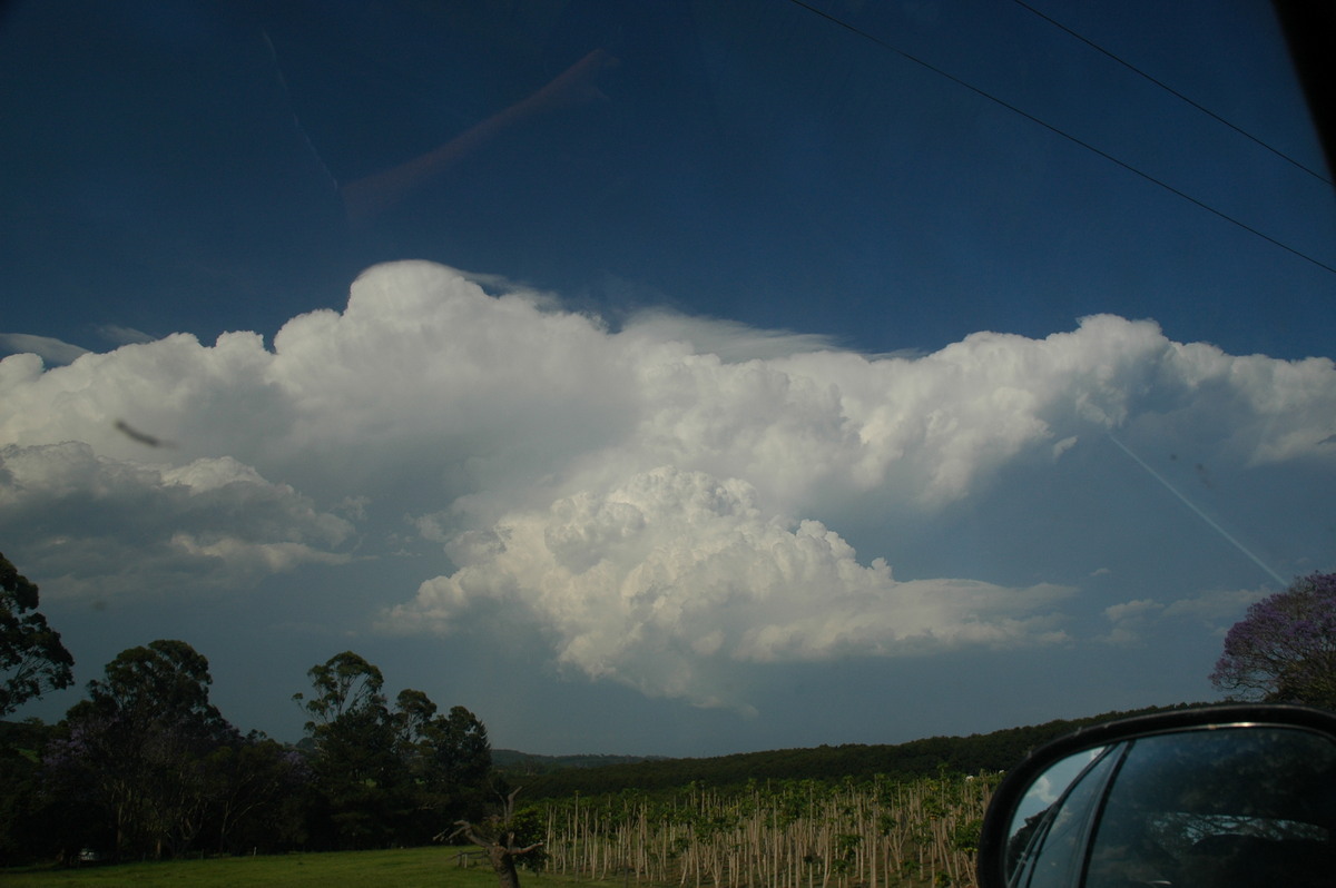 pileus pileus_cap_cloud : Alstonville, NSW   15 November 2006