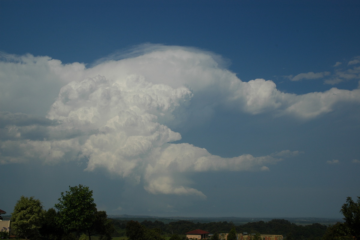 updraft thunderstorm_updrafts : Alstonville, NSW   15 November 2006