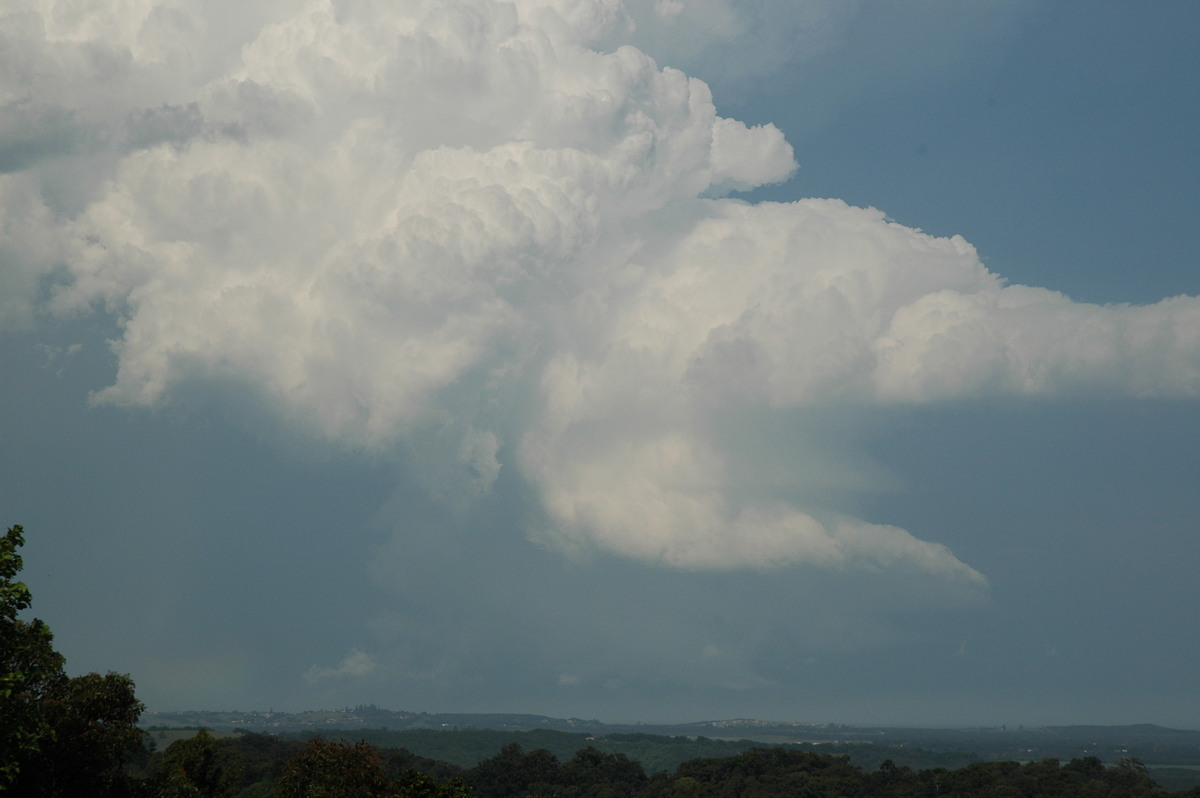 updraft thunderstorm_updrafts : Alstonville, NSW   15 November 2006