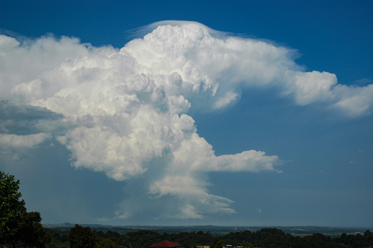 thunderstorm cumulonimbus_incus : Alstonville, NSW   15 November 2006