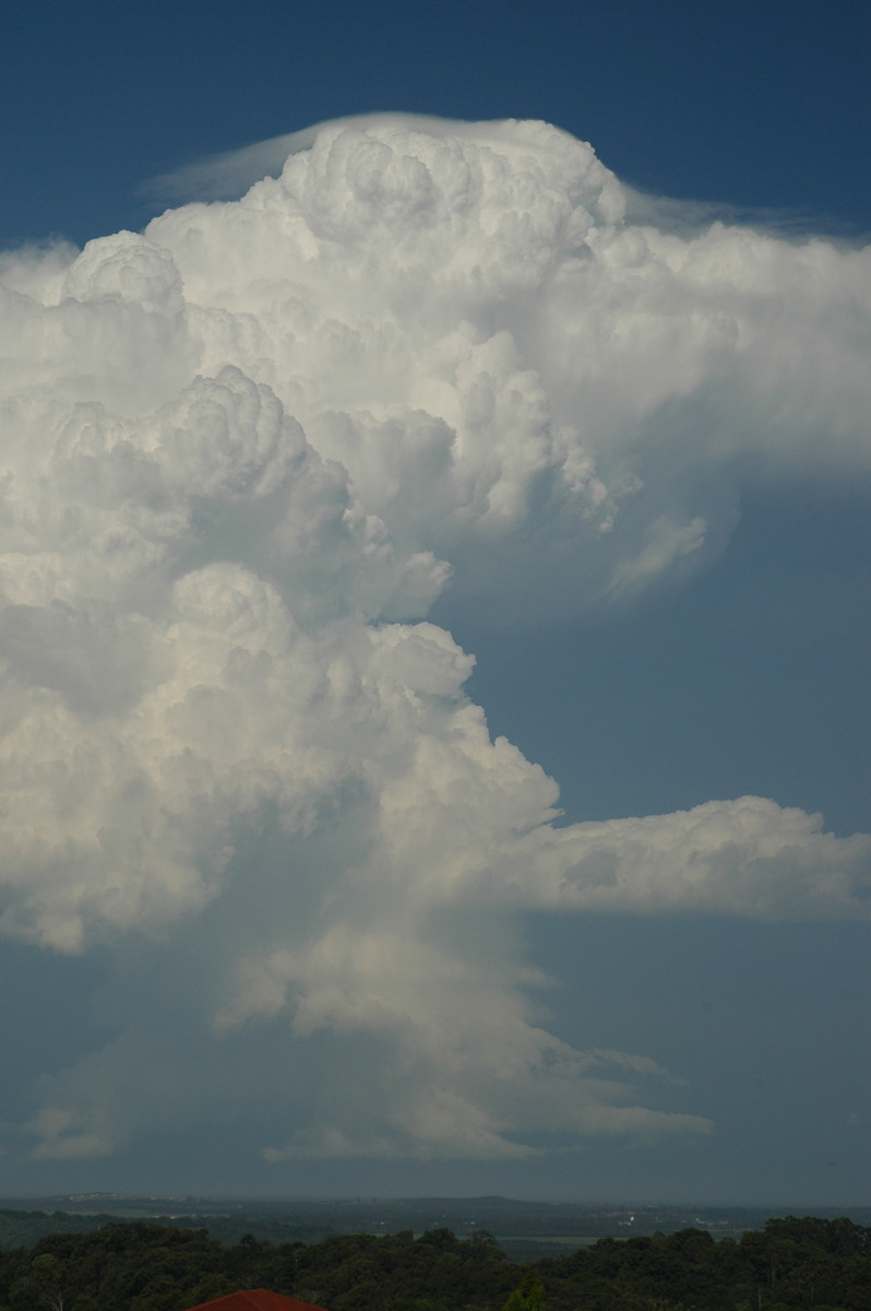 pileus pileus_cap_cloud : Alstonville, NSW   15 November 2006