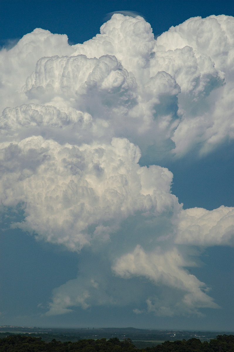 cumulonimbus supercell_thunderstorm : Alstonville, NSW   15 November 2006