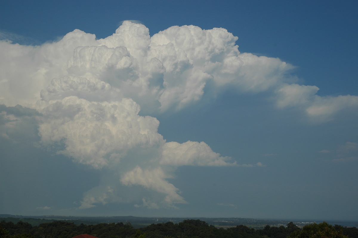 cumulonimbus supercell_thunderstorm : Alstonville, NSW   15 November 2006