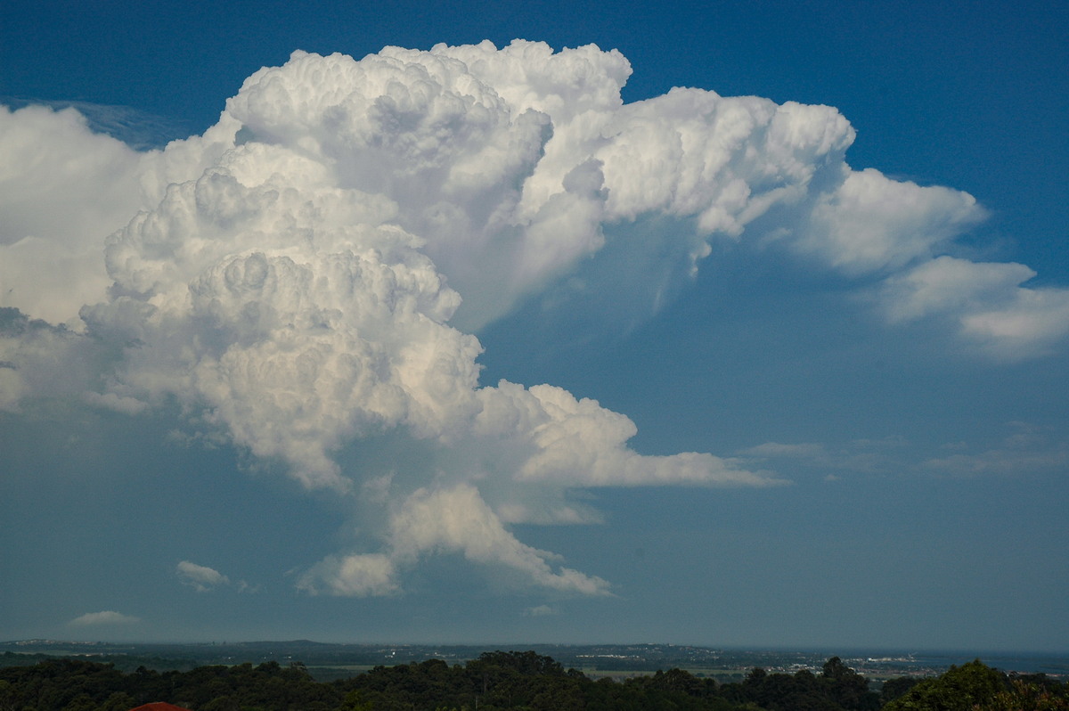 thunderstorm cumulonimbus_incus : Alstonville, NSW   15 November 2006