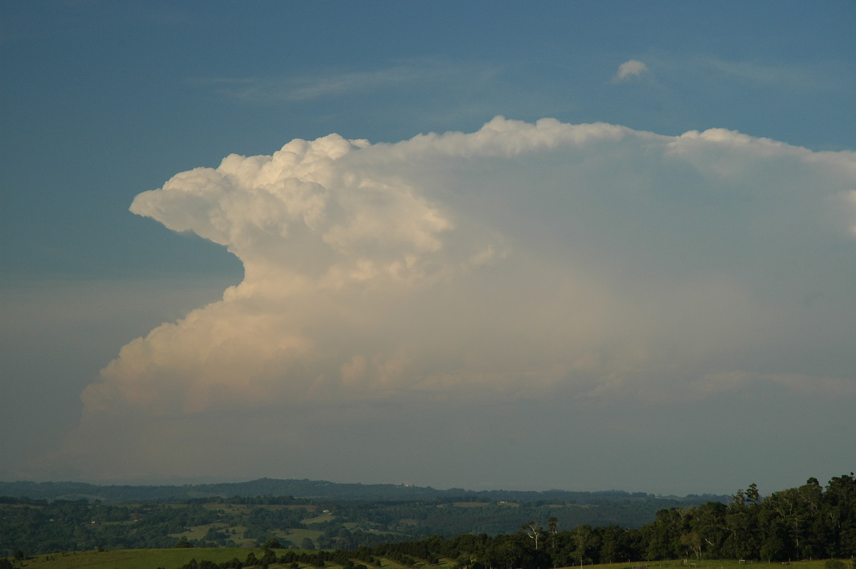 thunderstorm cumulonimbus_incus : McLeans Ridges, NSW   15 November 2006