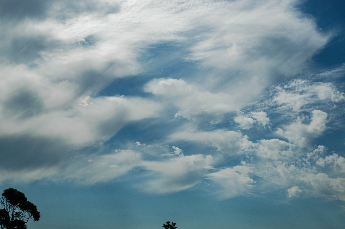 cirrus cirrus_cloud : McLeans Ridges, NSW   22 November 2006