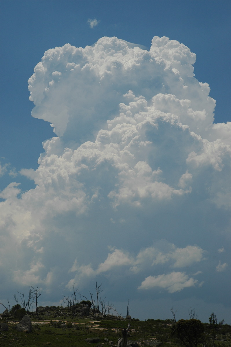 updraft thunderstorm_updrafts : Tenterfield, NSW   24 November 2006