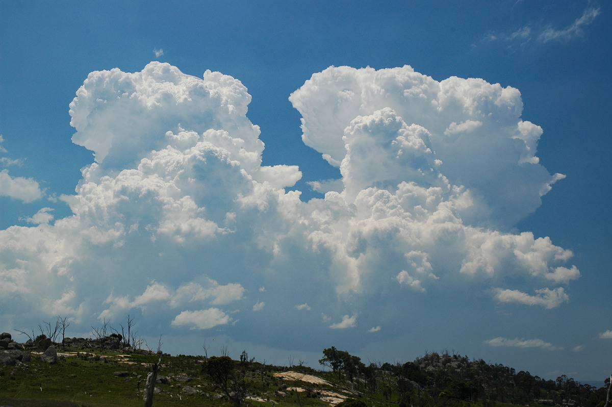 thunderstorm cumulonimbus_calvus : Tenterfield, NSW   24 November 2006