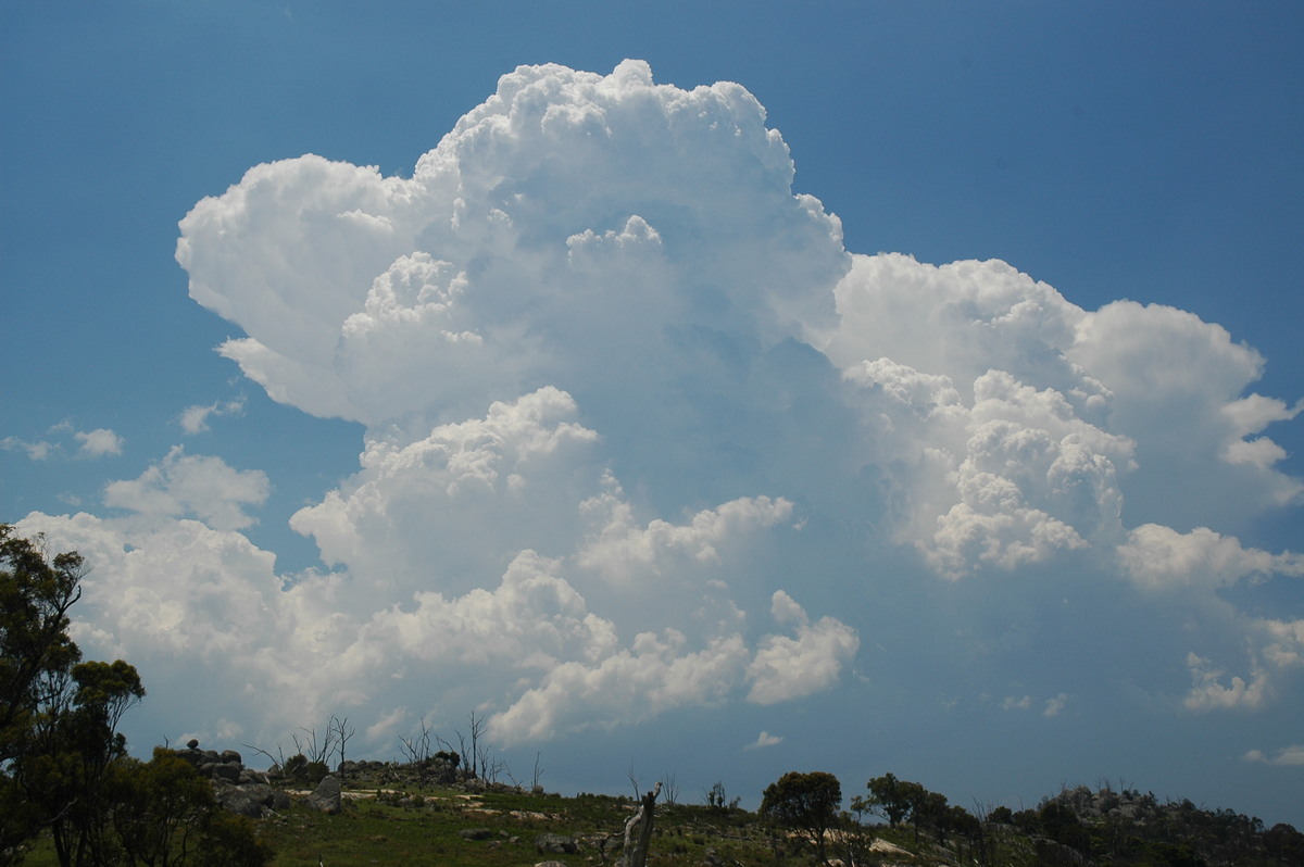 updraft thunderstorm_updrafts : Tenterfield, NSW   24 November 2006