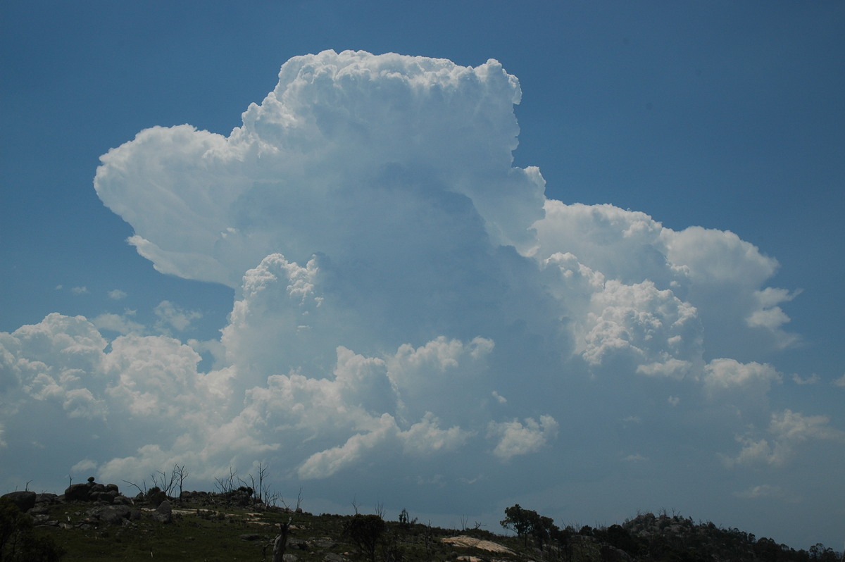 thunderstorm cumulonimbus_incus : Tenterfield, NSW   24 November 2006