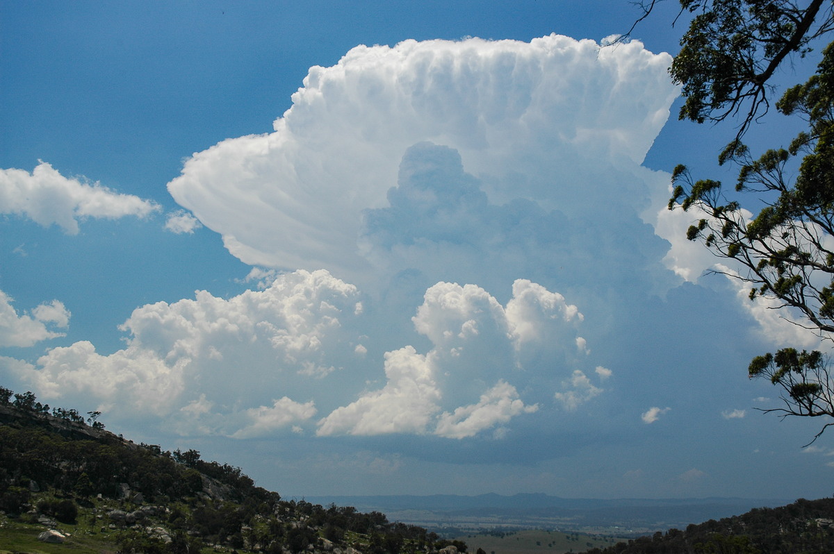 thunderstorm cumulonimbus_incus : Tenterfield, NSW   24 November 2006