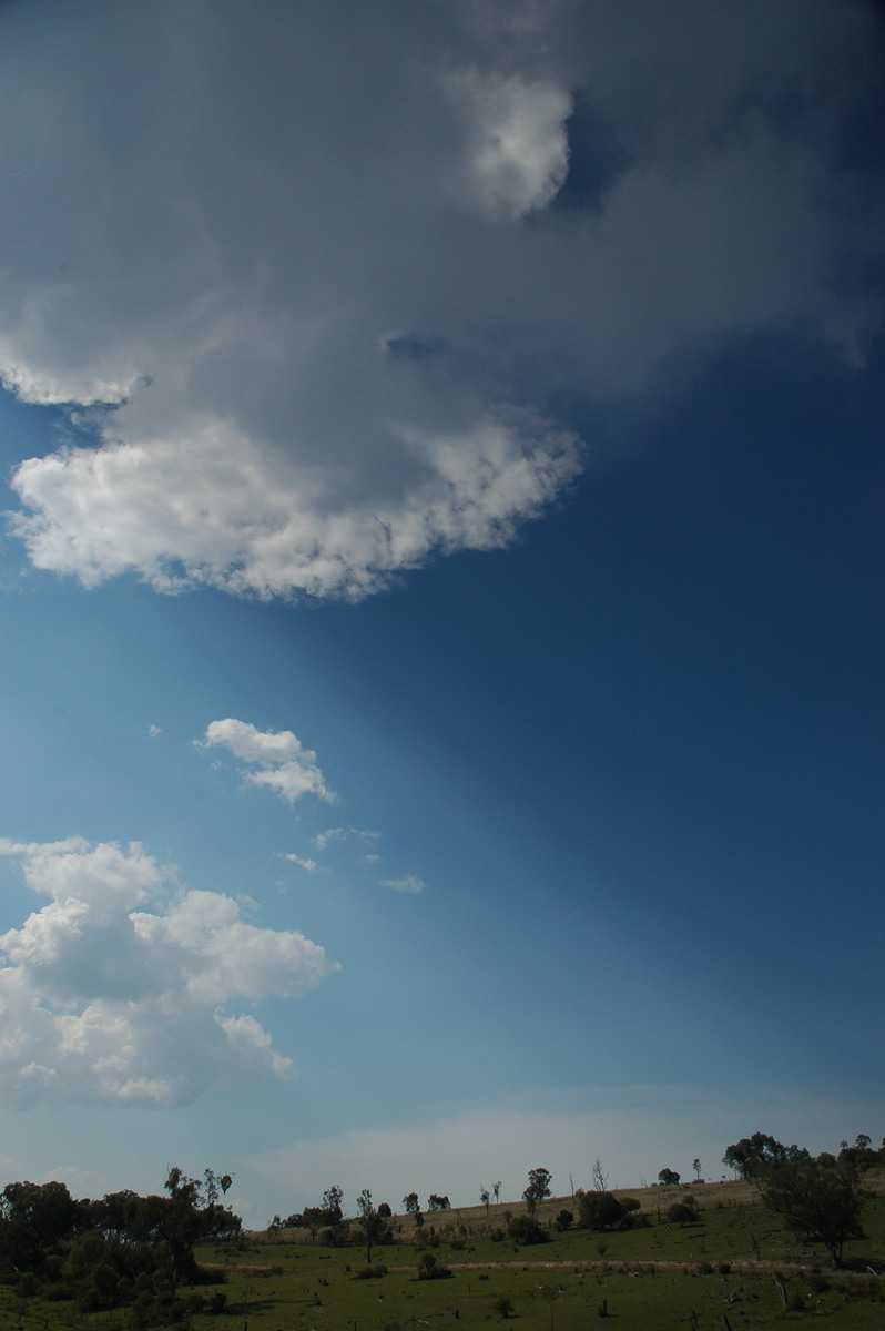 cumulus humilis : W of Tenterfield, NSW   24 November 2006